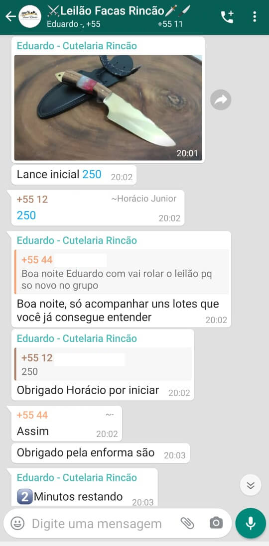 DISPUTA DO LEILÃO
